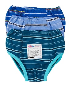 Трусы для мальчиков (полоска) 24;32 Т-013