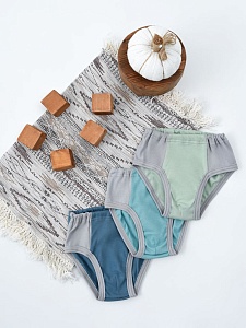 Трусы для мальчиков 24-34 (Т-026)